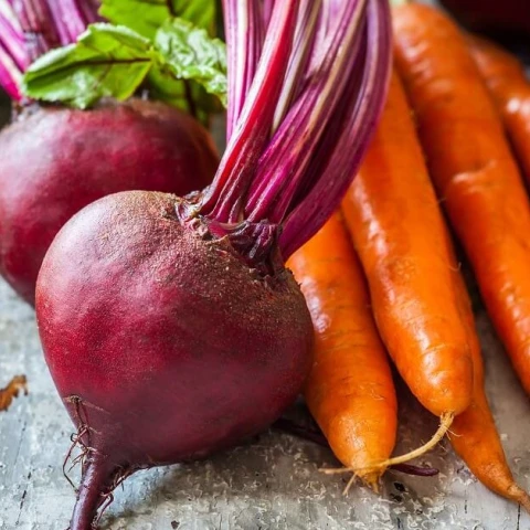 images_cms-image-000101130