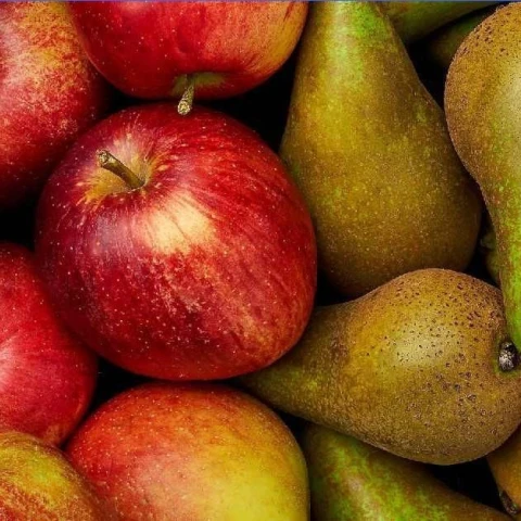 gradient_article_169346