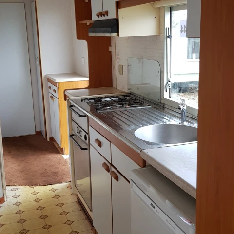 rabota-v-anglii-na-klubnicnoi-ferme