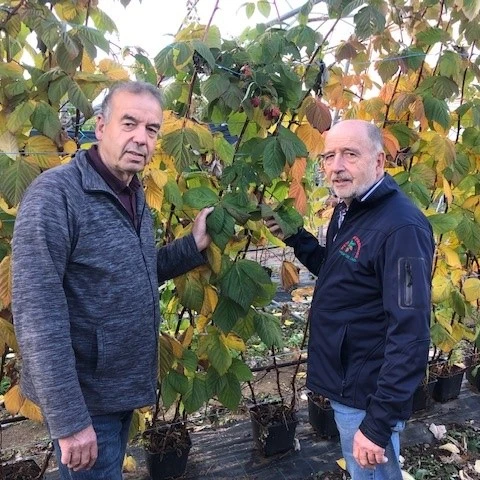 rabota-v-anglii-na-klubnicnoi-ferme