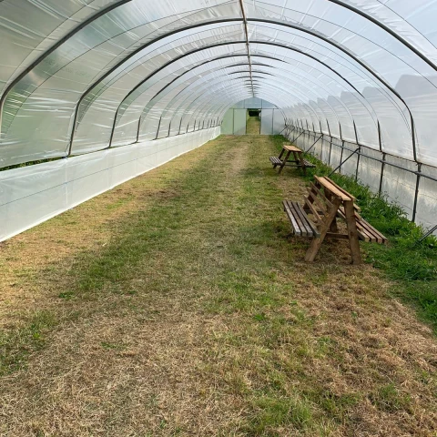 rabota-v-anglii-na-klubnicnoi-ferme