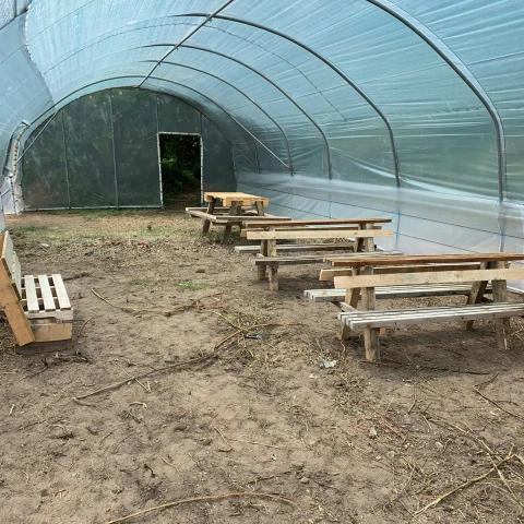 rabota-v-anglii-na-klubnicnoi-ferme