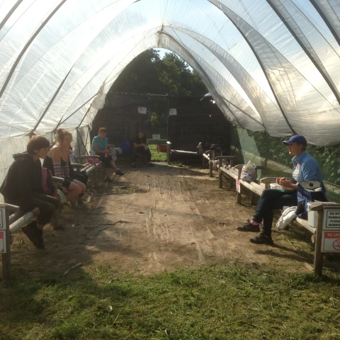 rabota-v-anglii-na-klubnicnoi-ferme