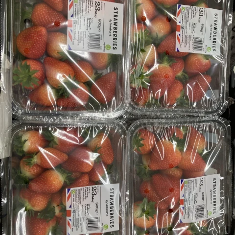 rabota-v-anglii-na-klubnicnoi-ferme
