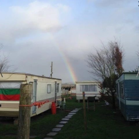priglaseniia-dlia-raboty-v-anglii-na-klubnicnoi-ferme-kent