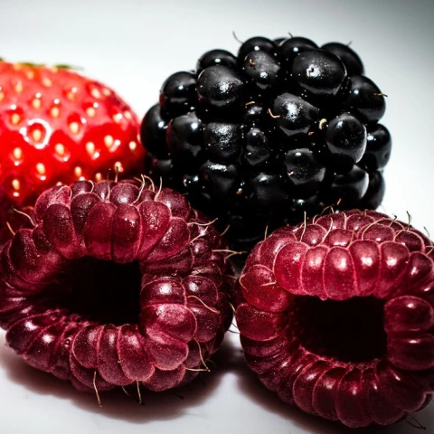 sbor-miagkix-fruktov-v-anglii-i-obshhie-selskoxoziaistvennye-raboty
