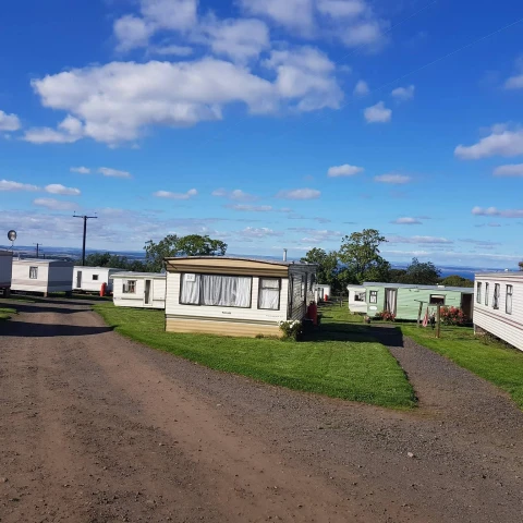 rabota-na-klubnicnoi-ferme-v-sotlandii
