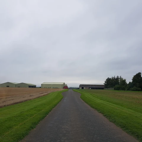 rabota-na-klubnicnoi-ferme-v-sotlandii
