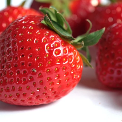 sbor-miagkix-fruktov-i-drugie-vidy-rabot-na-ferme-v-anglii