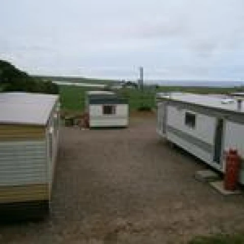 sotlandiia-sbor-klubniki-na-ferme