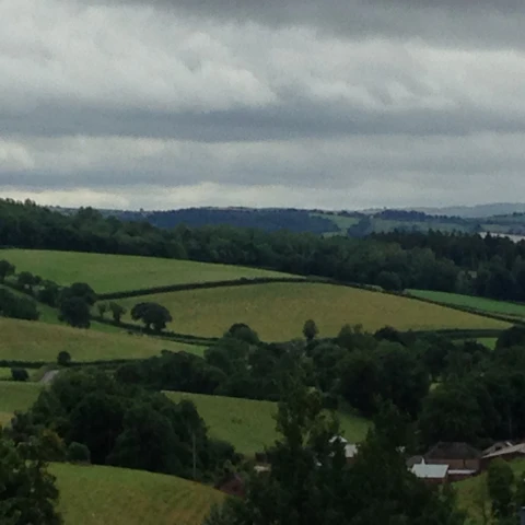 rabota-na-fruktovoi-ferme-v-anglii