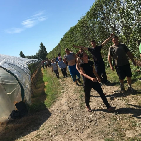 priglaseniia-dlia-raboty-v-anglii-na-klubnicnoi-ferme-kent