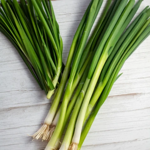 green-onions-vs-chives-sq.jpg