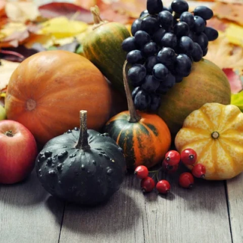 depositphotos_33381509-stock-photo-autumn-fruits-and-vegetables