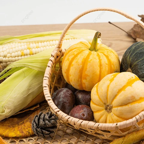 pngtree-autumn-pumpkin-corn-photography-map-image_871617