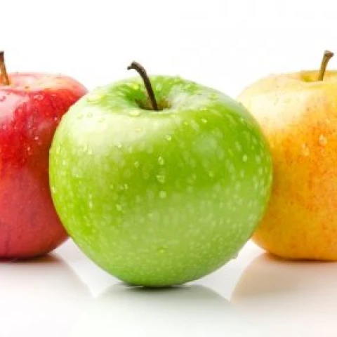 images_cms-image-000075777