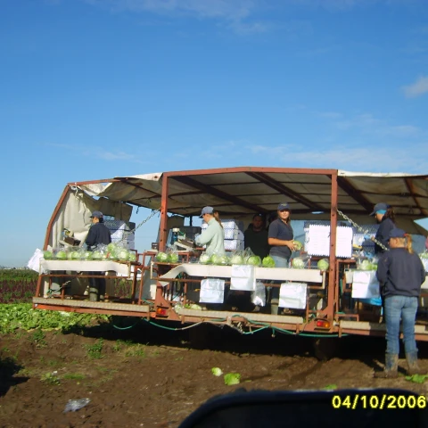 S6000373