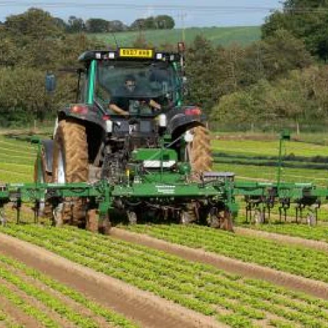 tractor