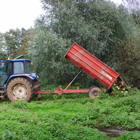 rabota-na-salatnoi-ferme-traktaristom-so-znaniem-angliiskogo-iazyka